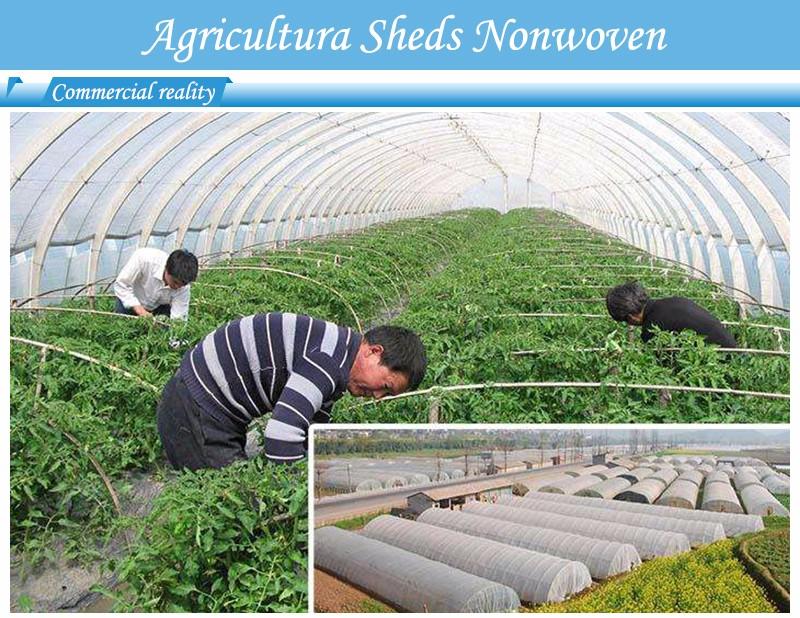 Hot best price weed control fabric control best weed control fabric antiuv Nanqixing