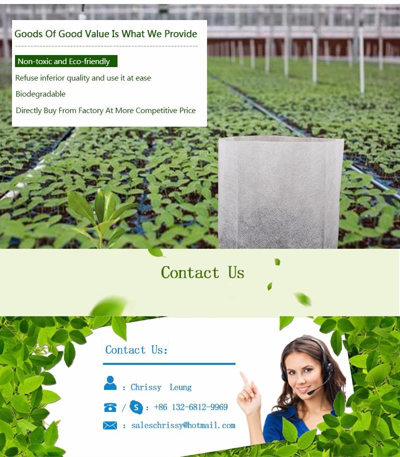 OEM best price weed control fabric weed greenhouse durable best weed control fabric