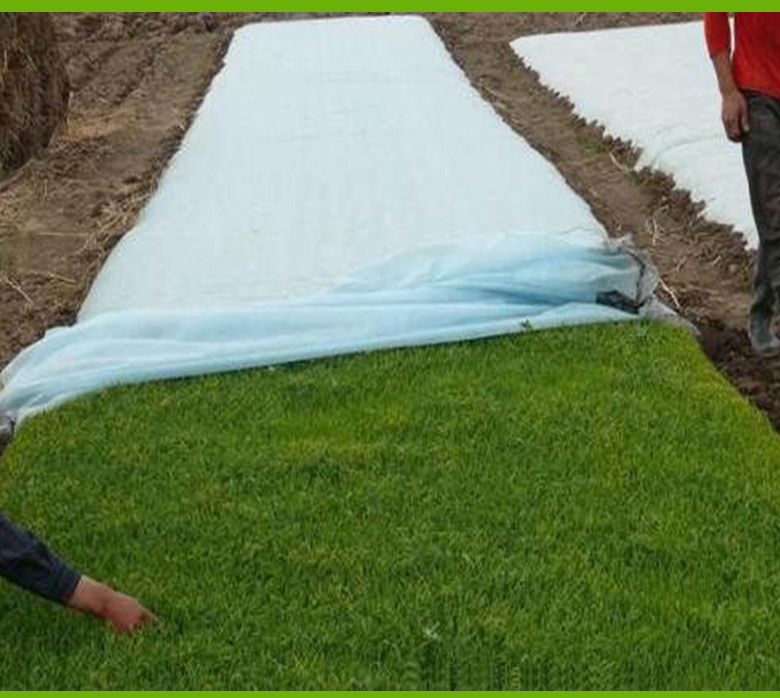 biodegradable non woven fabric manufacturer delhi nonwoven manufacturer for crops bags-2