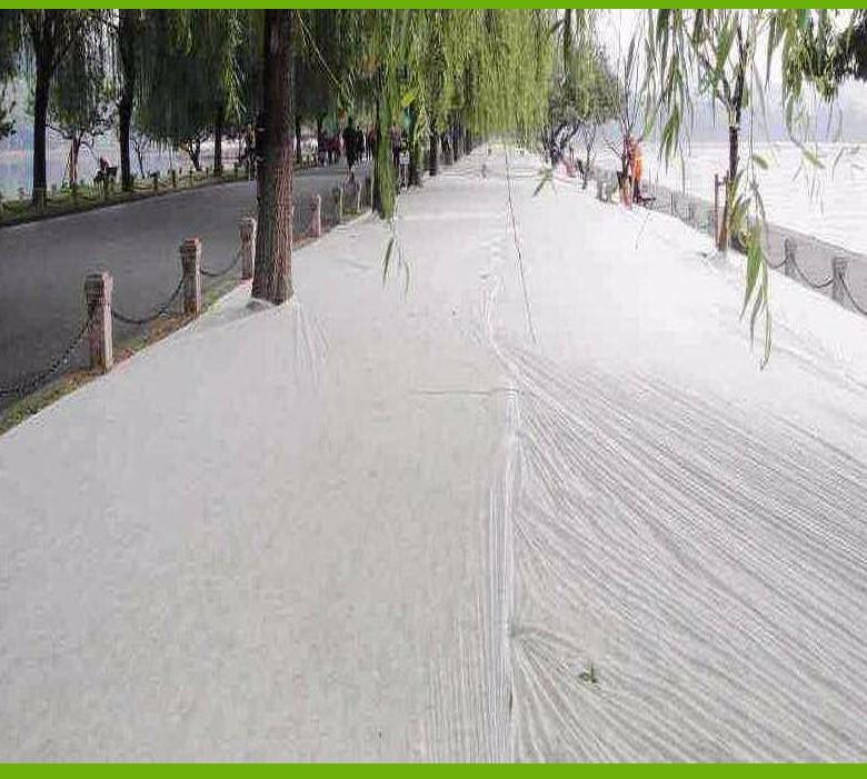 Hot best price weed control fabric spunbond Nanqixing Brand