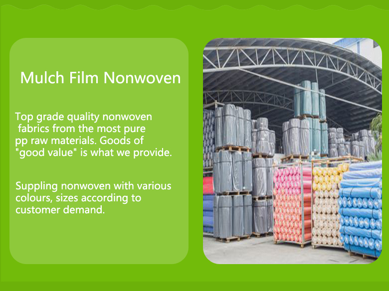 biodegradable non woven fabric manufacturer delhi nonwoven manufacturer for crops bags-7