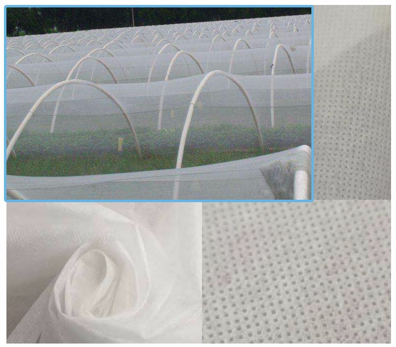 biodegradable ground weed control fabric mat wholesale for greenhouse-7