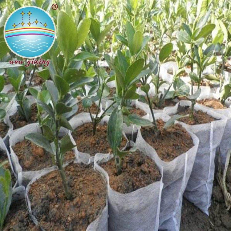 Anti-UV Durable Pp Nonwoven Fabric For Agriculture Plant Cover