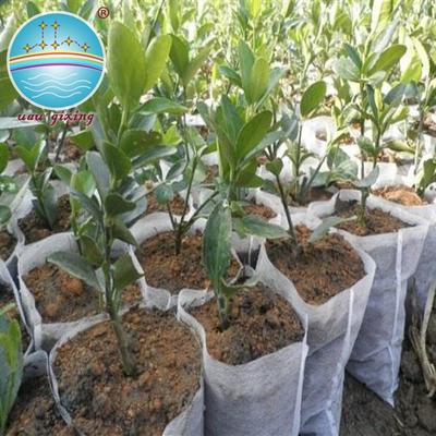 Anti-UV Durable Pp Nonwoven Fabric For Agriculture Plant Cover