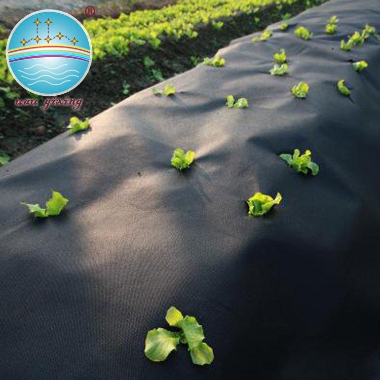 Black Nonwoven Fabric for Weed Control Mat with Anti-UV treated