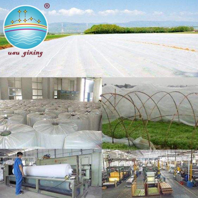 Nonwoven Fabric for Greenhouse Cover with Anti-UV treated