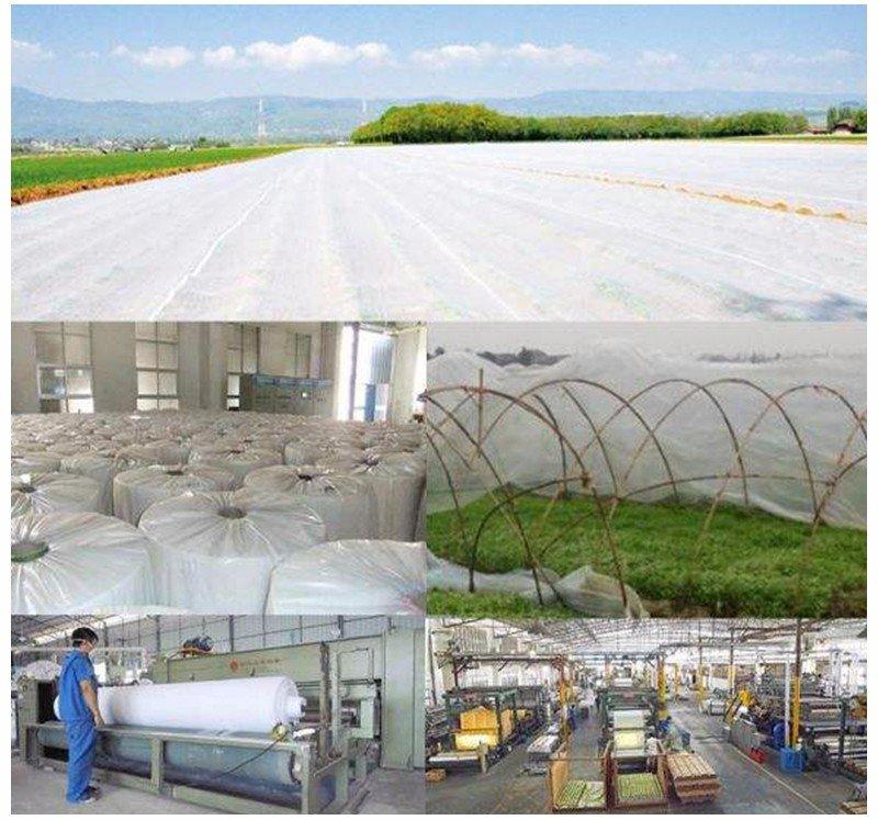 OEM best weed control fabric agriculture antiuv best price weed control fabric