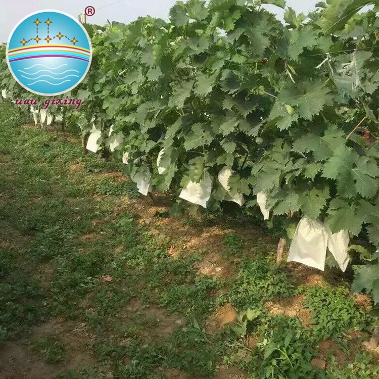 Eco-friendly Nonwoven Fabric For Making Friuts And Vegetables Cover Bags