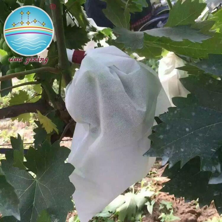 Eco-friendly Nonwoven Fabric For Making Friuts And Vegetables Cover Bags