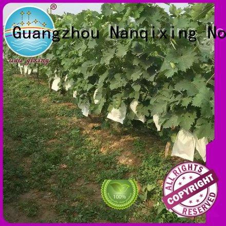 best price weed control fabric friuts pp best weed control fabric Nanqixing Warranty
