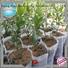 making greenhouse mat Nanqixing best price weed control fabric