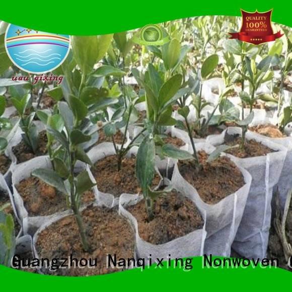 Nanqixing Brand greenhouse friuts treated best price weed control fabric