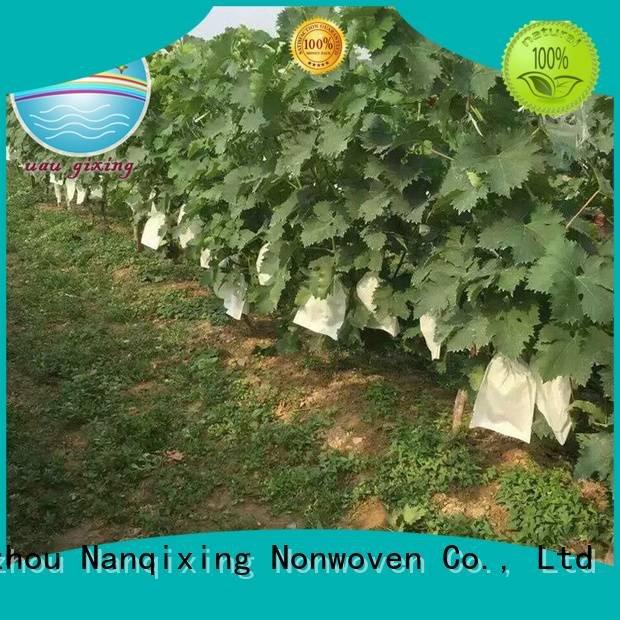 Nanqixing Brand weed vegetables cover best price weed control fabric