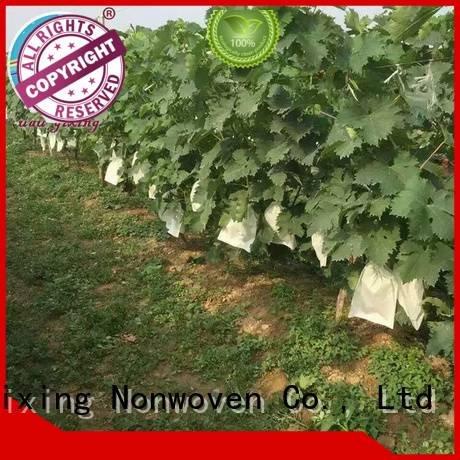 weed black agriculture antiuv Nanqixing best price weed control fabric